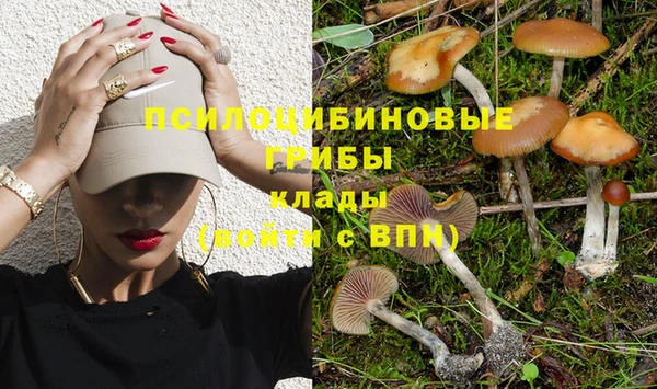 прущие крисы Алексеевка