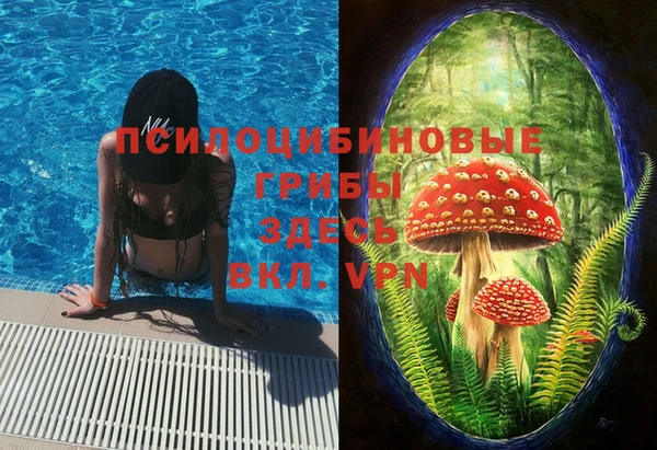прущие крисы Алексеевка