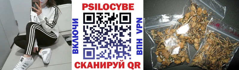 Псилоцибиновые грибы мицелий Курганинск